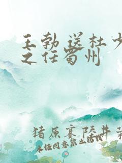 王勃 送杜少府之任蜀州
