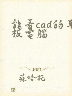 能看cad的平板电脑