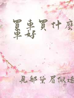 买车买什么系的车好 买车买什么系的车好