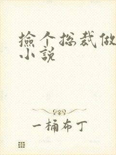 捡个总裁做老婆小说