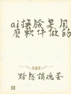 ai换脸是用什么软件做的