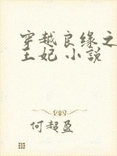 穿越良缘之镇南王妃 小说