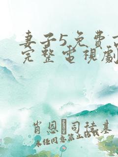 妻子5免费高清完整电视剧情年轻母亲