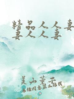 精品人人妻人人妻人人妻