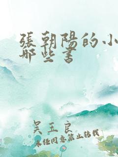 张朝阳的小说有哪些书