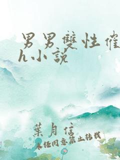 男男双性催眠高h小说 男男双性催眠高h小说
