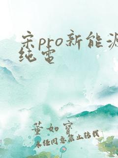宋pro新能源纯电
