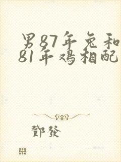 男87年兔和女81年鸡相配婚姻如何