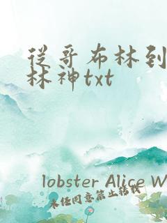 从哥布林到哥布林神txt