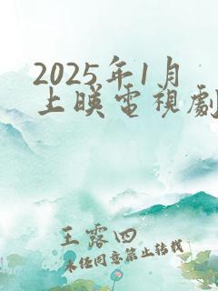 2025年1月上映电视剧