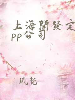 上海开发定制app公司