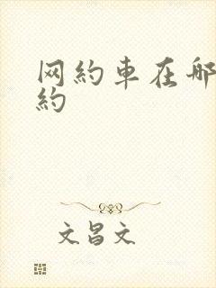网约车在哪里预约