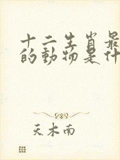 十二生肖最弱小的动物是什么