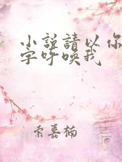 小说请以你的名字呼唤我