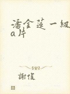 潘金莲一级aaa片