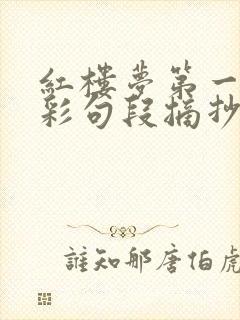红楼梦第一回精彩句段摘抄