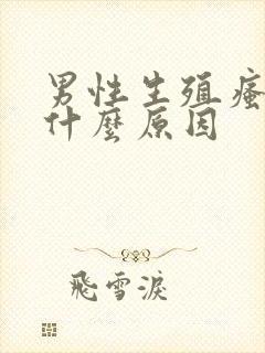 男性生殖瘙痒是什么原因