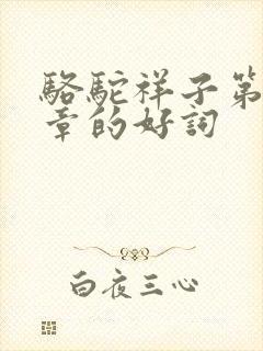 骆驼祥子第14章的好词