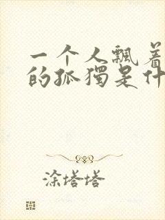 一个人飘着孤单的孤独是什么歌