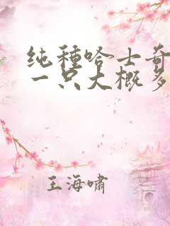 纯种哈士奇幼犬一只大概多少钱