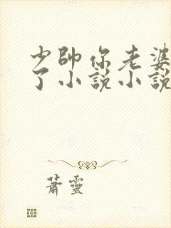 少帅你老婆又跑了小说小说