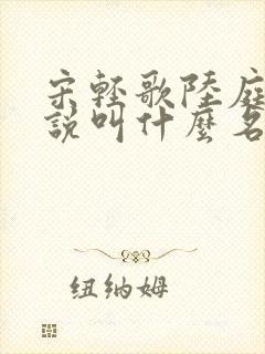 宋轻歌陆庭渊小说叫什么名字