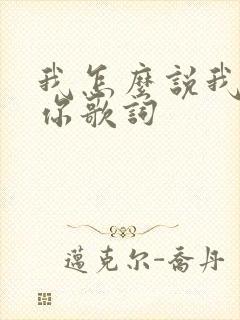 我怎么说我不爱你歌词