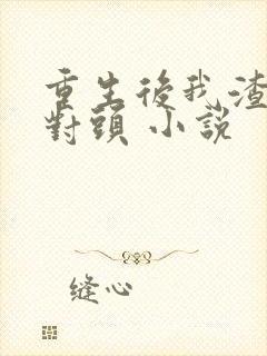 重生后我渣了死对头 小说