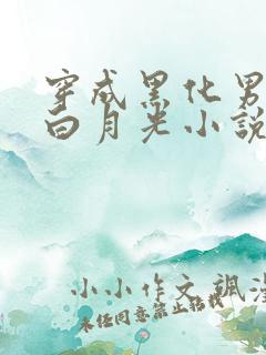 穿成黑化男主的白月光小说完整版
