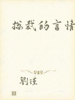 总裁的言情小说