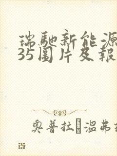 瑞驰新能源ec35图片及报价