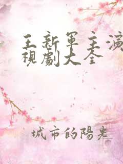 王新军主演的电视剧大全