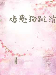 鸡飞狗跳猜生肖
