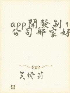app开发制作公司哪家好
