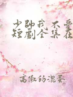 少帅我不爱你了短剧全集在线播放