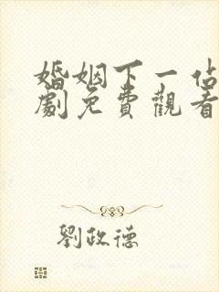婚姻下一站电视剧免费观看全集