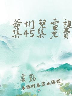 爷们儿电视剧全集45集免费西瓜