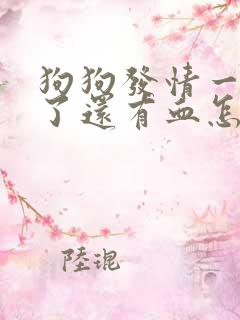狗狗发情一个月了还有血怎么回事