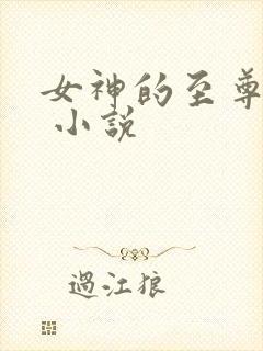 女神的至尊兵王 小说