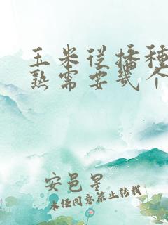 玉米从播种到成熟需要几个月
