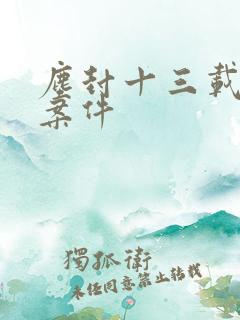 尘封十三载原型案件 尘封十三载原型案件