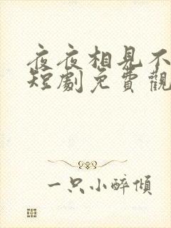 夜夜相见不识君短剧免费观看全集