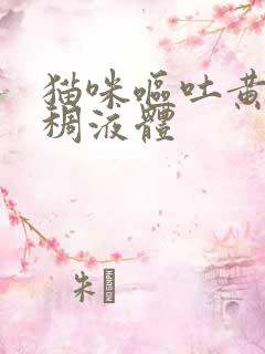 猫咪呕吐黄色粘稠液体