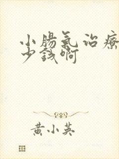 小肠气治疗要多少钱啊