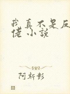 我真不是反派大佬 小说