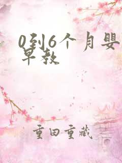 0到6个月婴儿早教