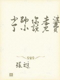 少帅你老婆又跑了小说免费观看
