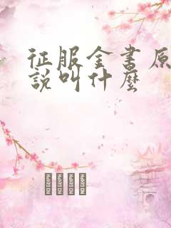 征服金书原著小说叫什么