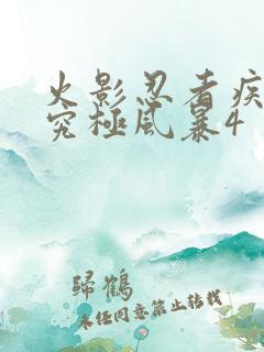火影忍者疾风传究极风暴4 火影忍者疾风传究极风暴4