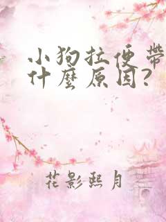 小狗拉便带血是什么原因?